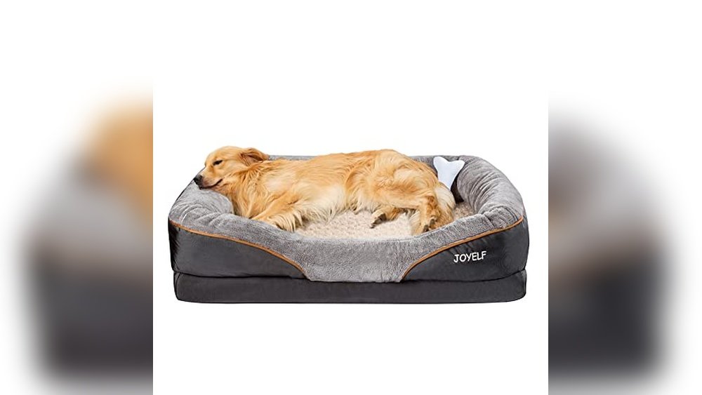 Top Dog Bed Orthopedic Memory Foam Reviews for Ultimate Comfort