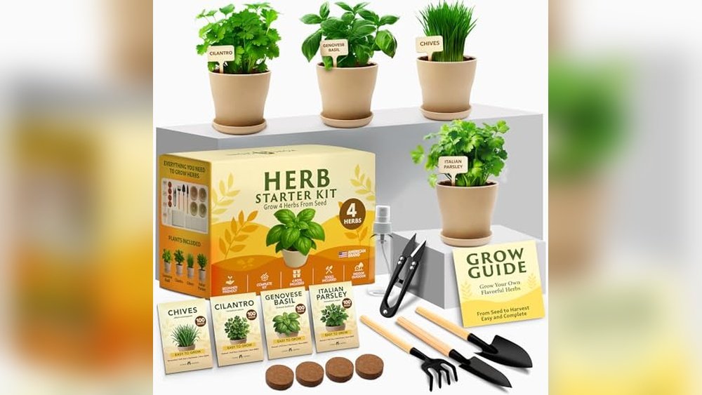 Top Herb Garden Kit for Windowsill: Easy & Fresh Herbs Guide