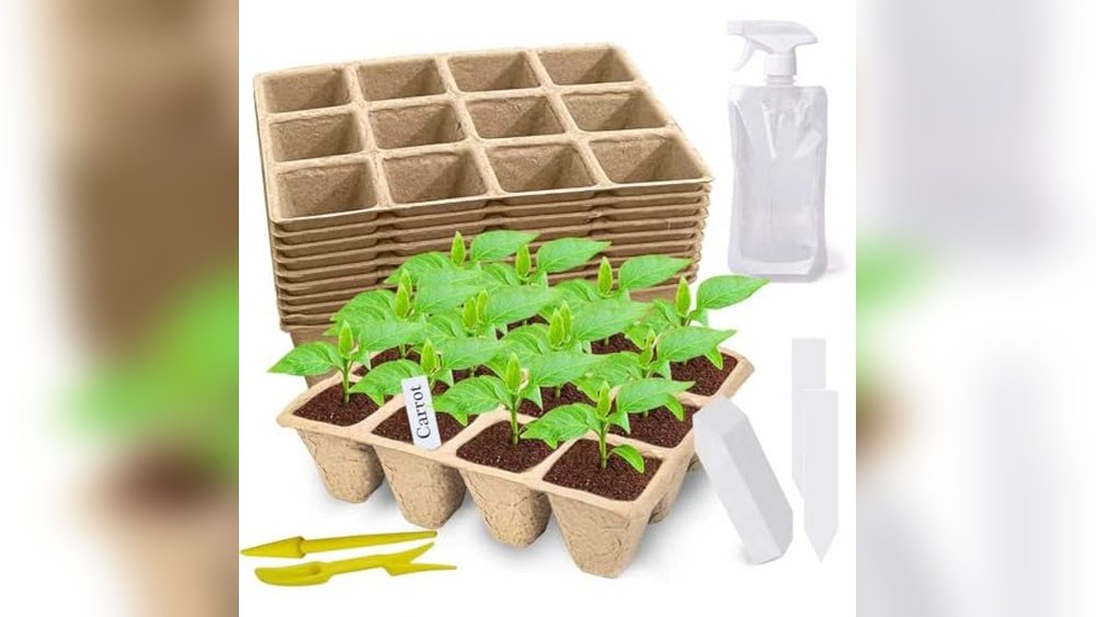 Seed Starter Kit Biodegradable Review: Eco-Friendly Gardening Guide