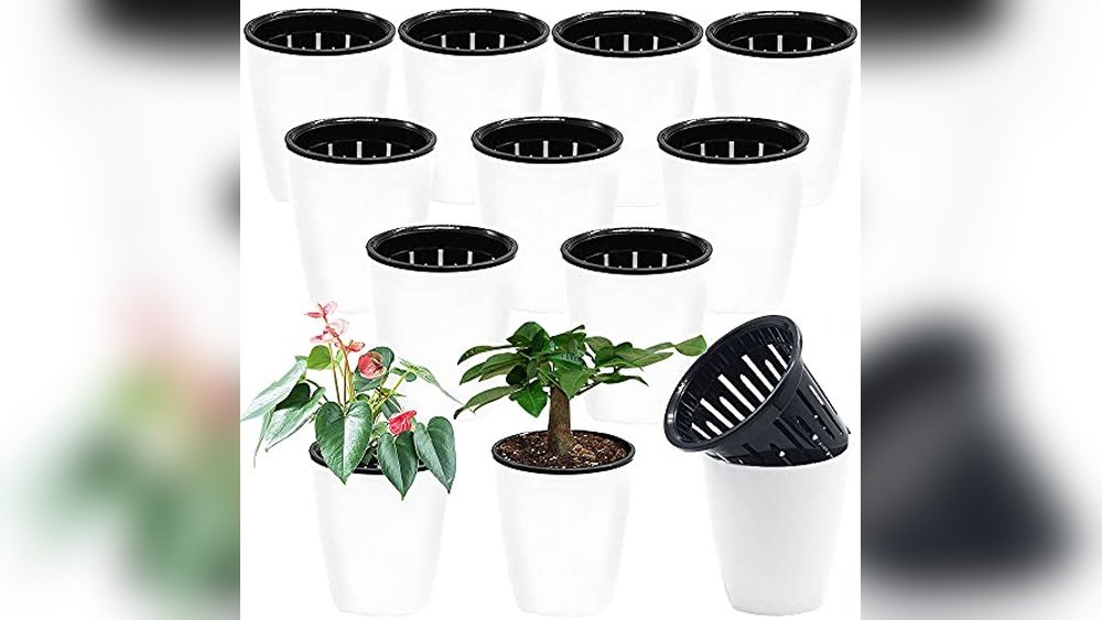 Top Self Watering Planters Small for Easy Indoor Gardening Reviews