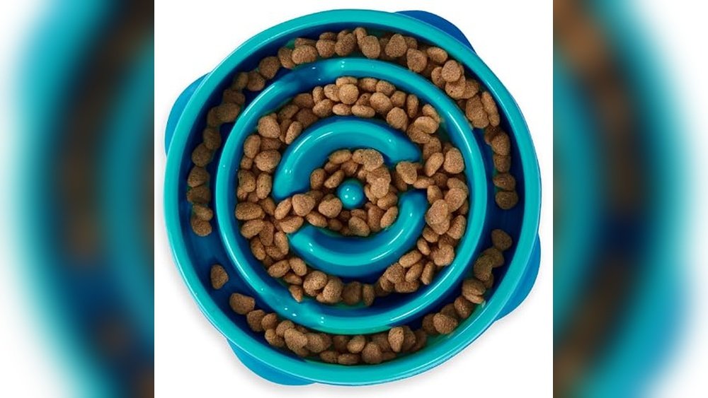 Slow Feeder Bowl for Dogs
