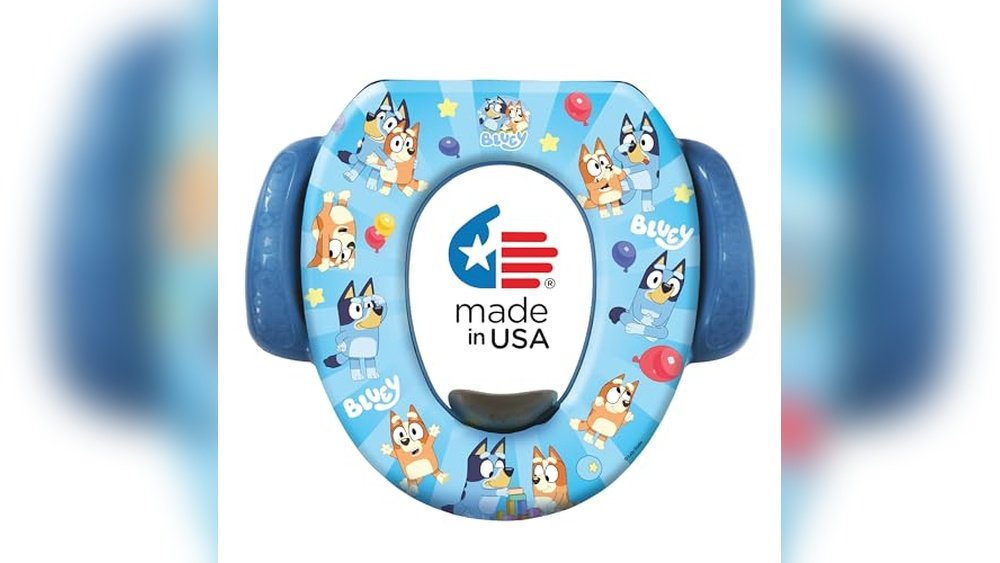 Top Toddler Potty Training Seat Reviews for Easy Success